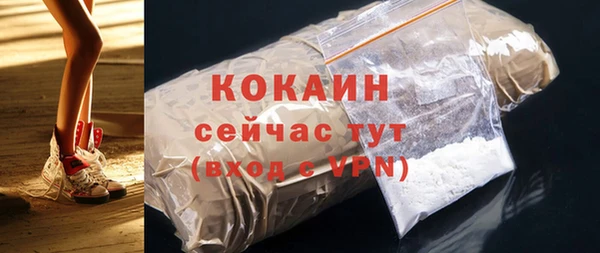 гидра Елабуга
