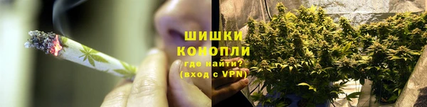 гидра Елабуга