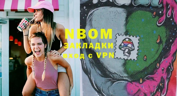 гидра Елабуга