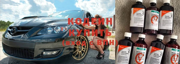 гидра Елабуга