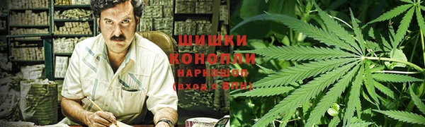 гидра Елабуга