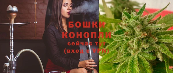 гидра Елабуга