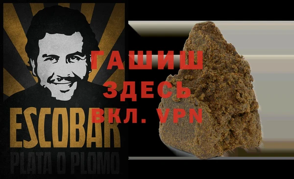 гидра Елабуга