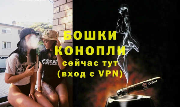гидра Елабуга