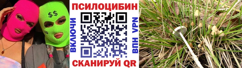 Галлюциногенные грибы прущие грибы  Купить закладки  Уварово 